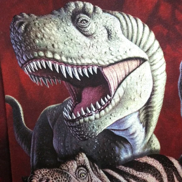 The Mountain Dinosaur Red & Black Tie Dyed Saint Louis Zoo Souvenir Hoodie - Picture 3 of 10